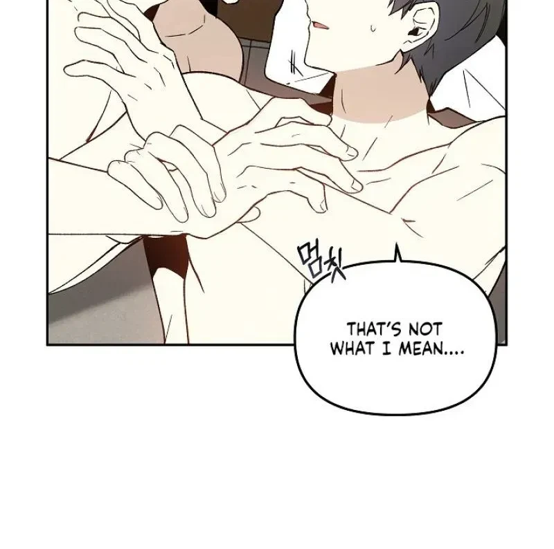Chapter 3, page 67