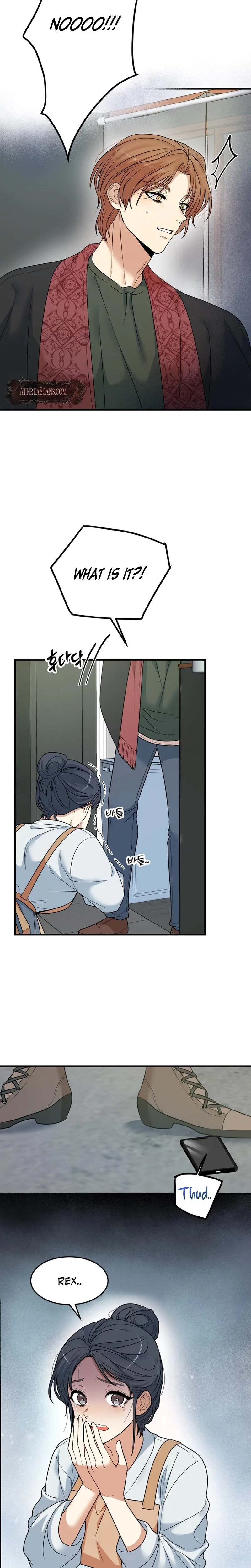 Chapter 1, page 17