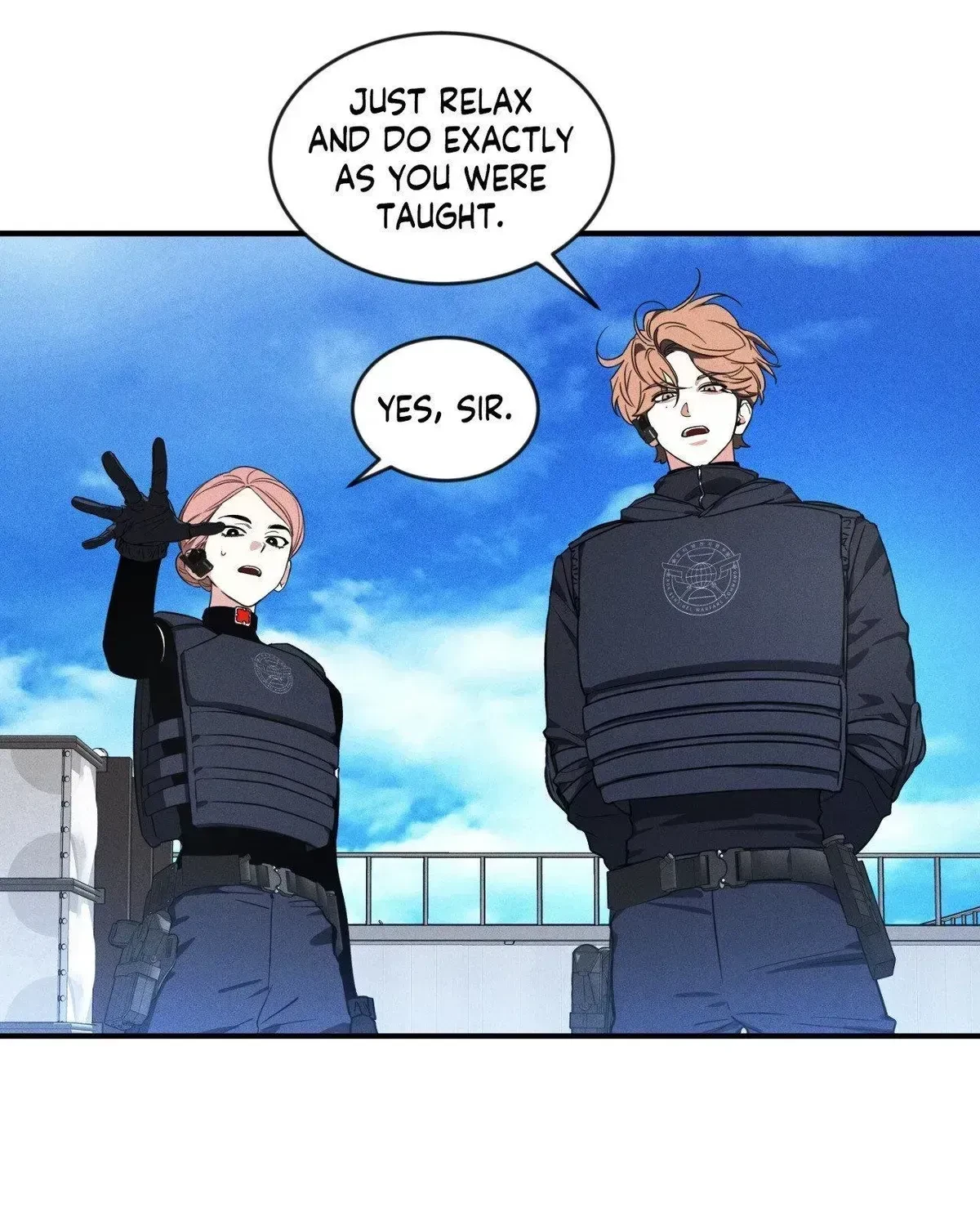 Chapter 3.8, page 113
