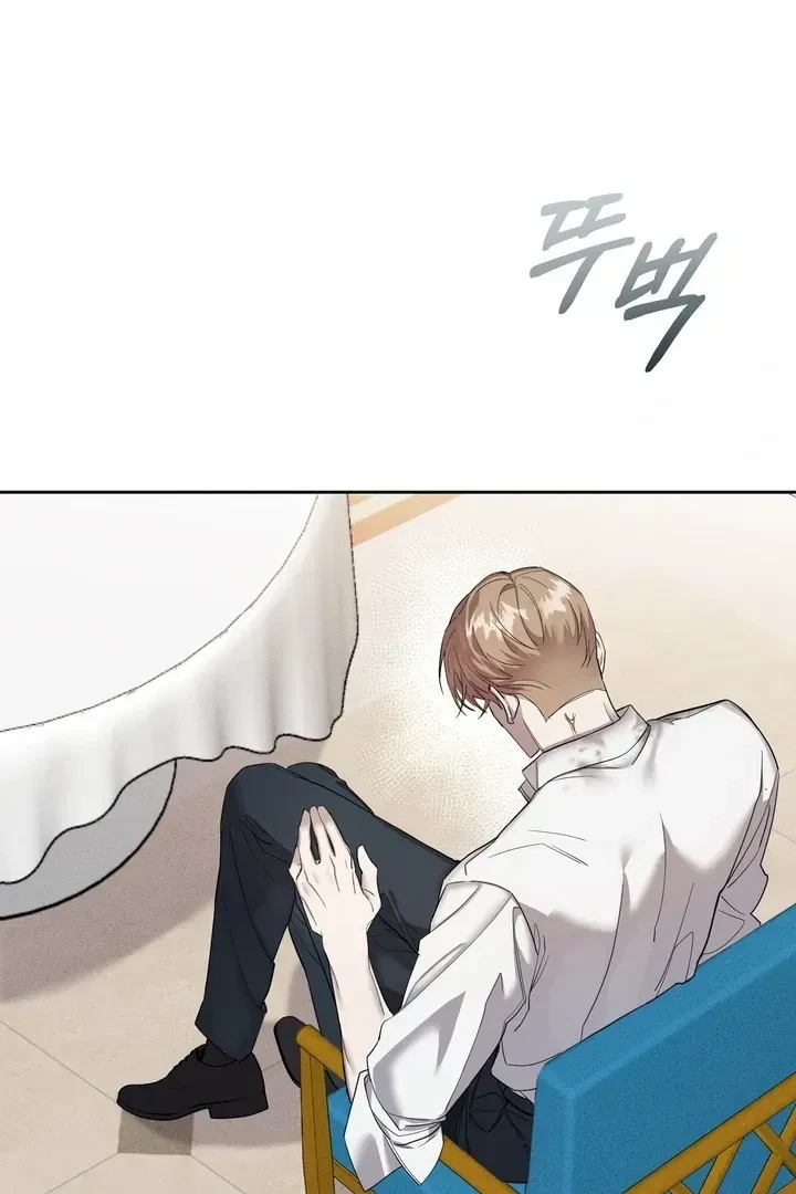 Chapter 3, page 102