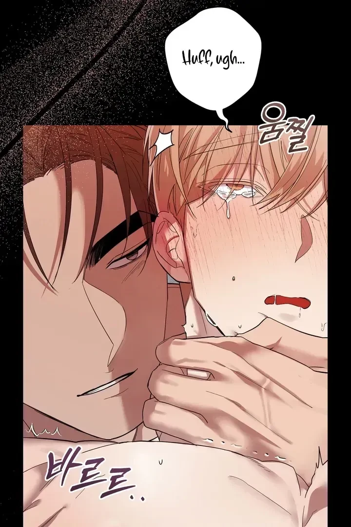 Chapter 3, page 66