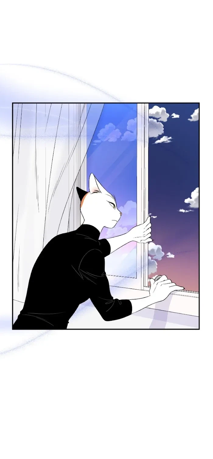 Chapter 8, page 19