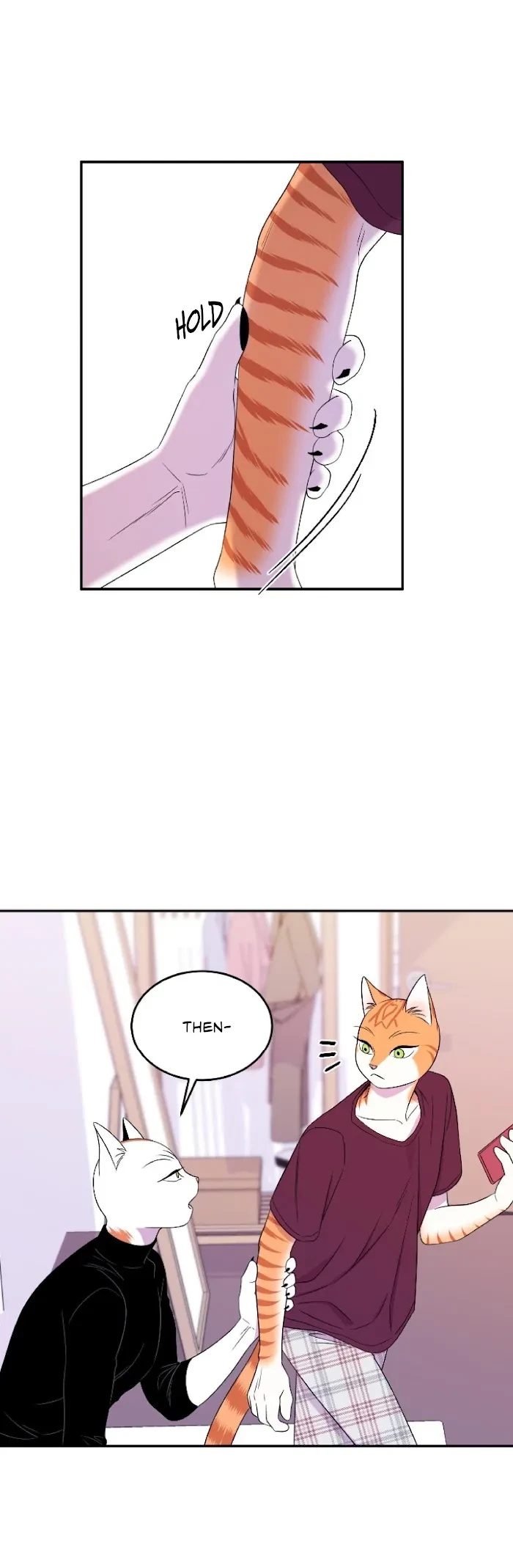 Chapter 8, page 33