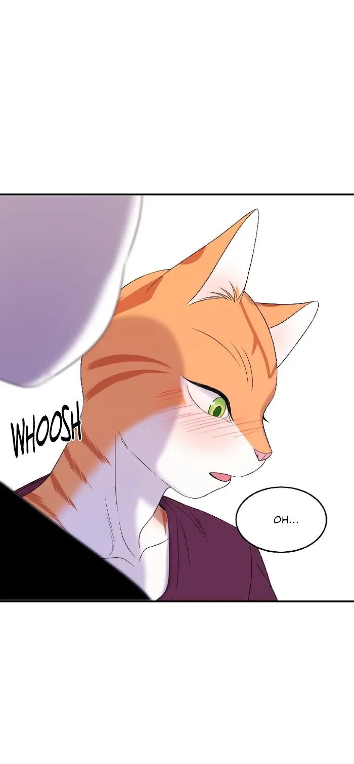 Chapter 8, page 36
