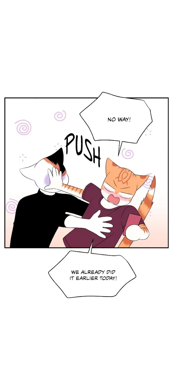 Chapter 8, page 38