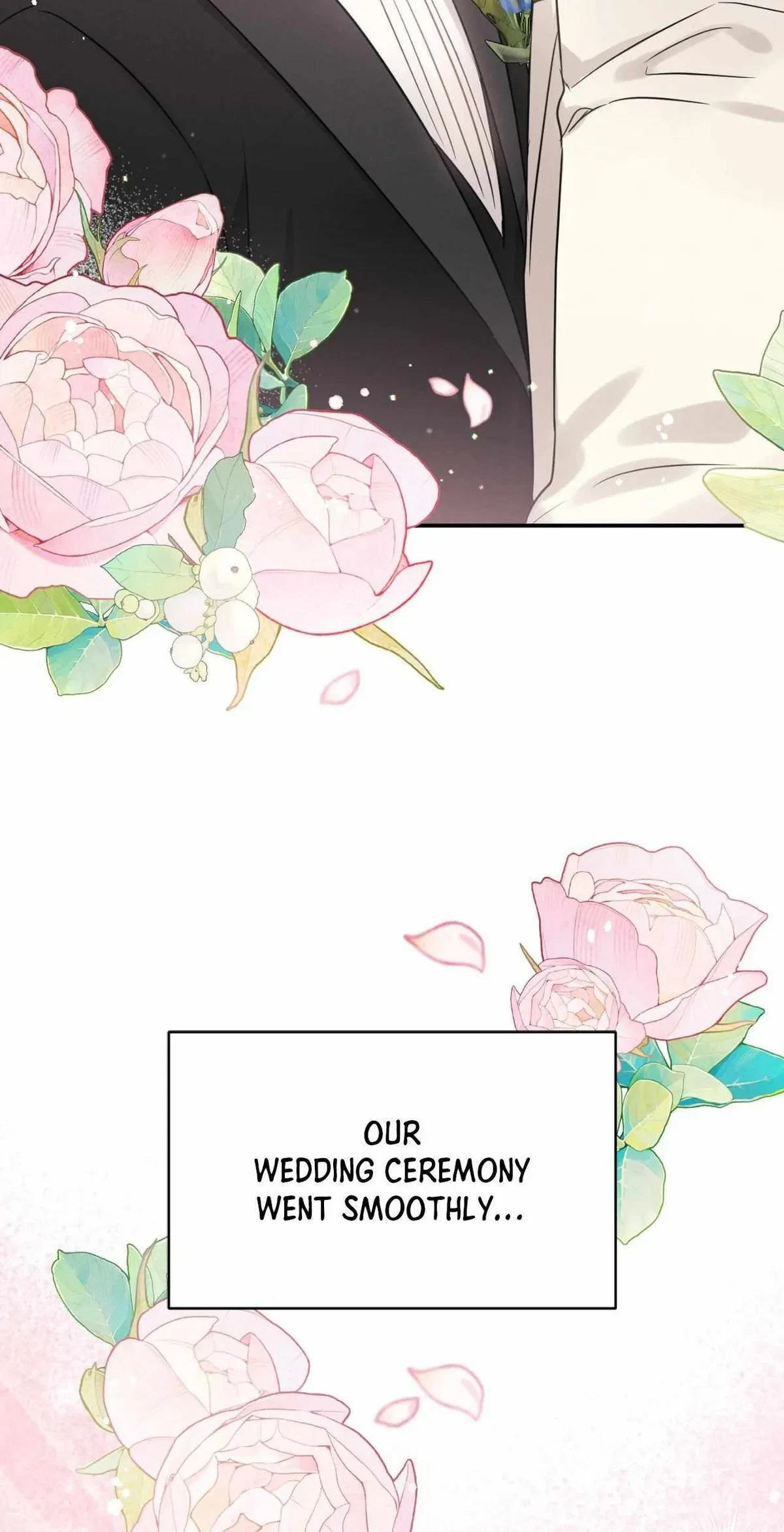 Side. : 2, page 29