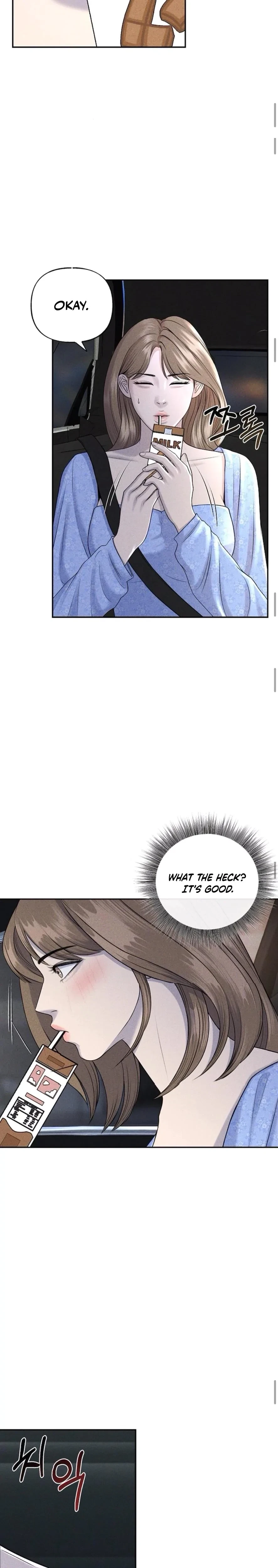 Chapter 4, page 19