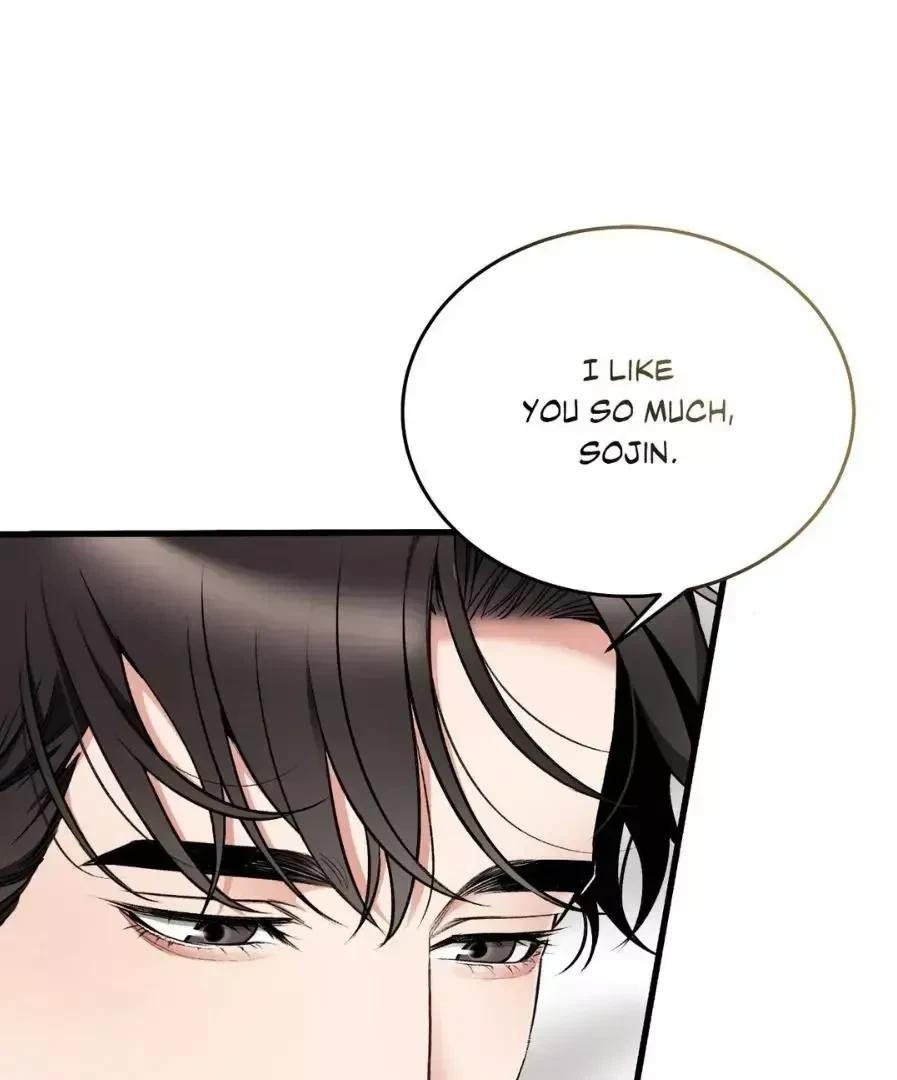 Chapter 25.9, page 106