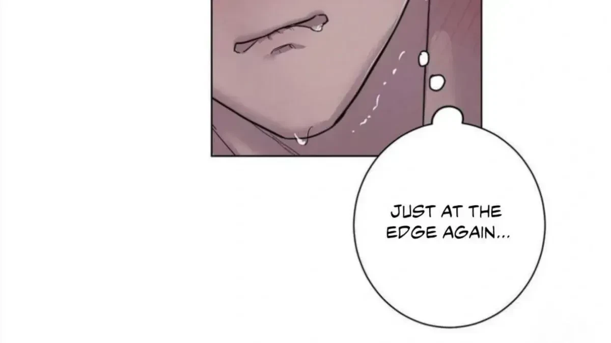 Chapter 4.8, page 106
