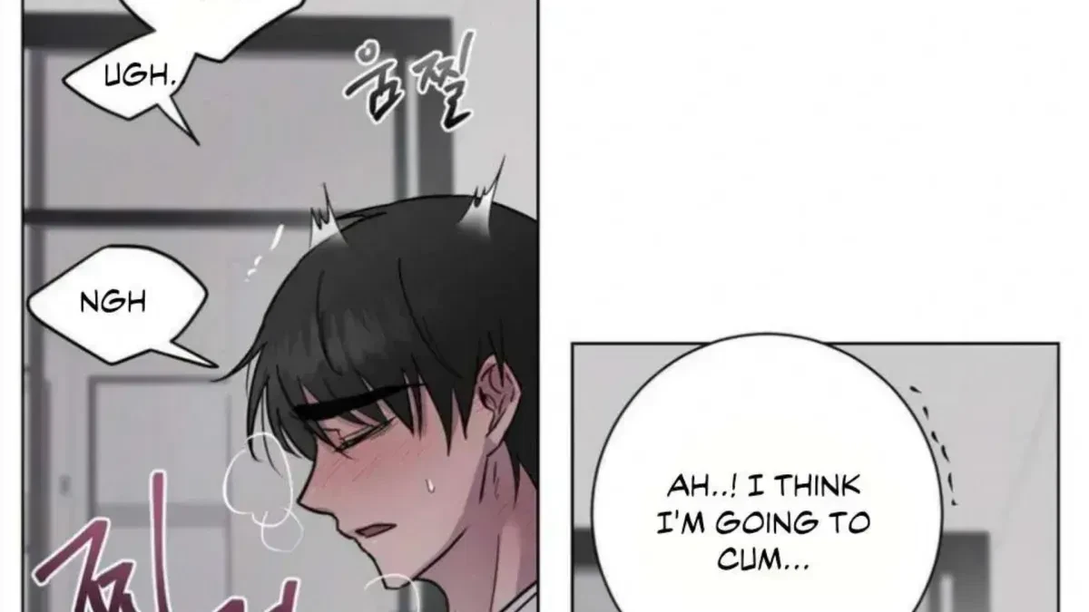 Chapter 4.8, page 94