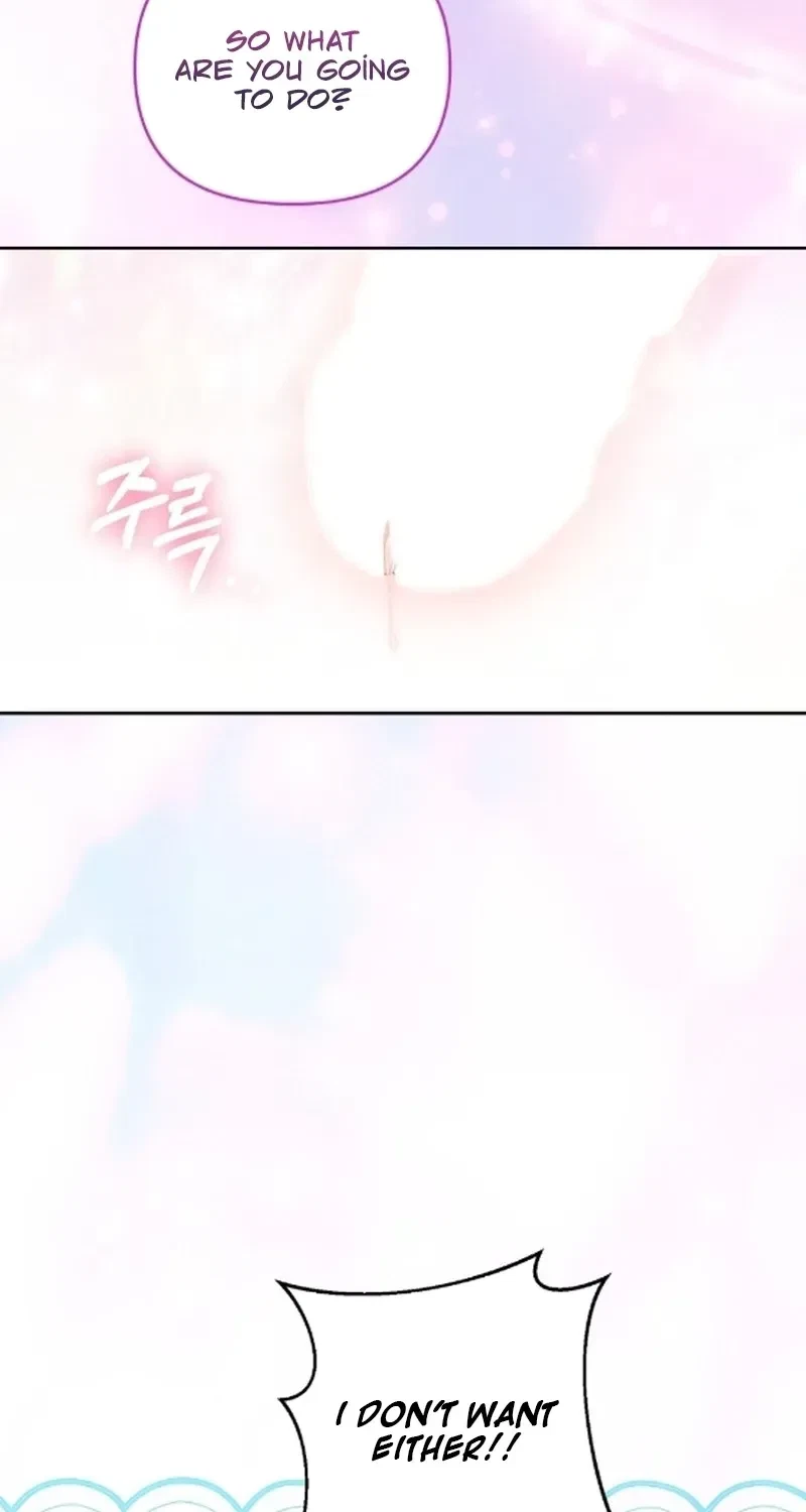 Chapter 3, page 52
