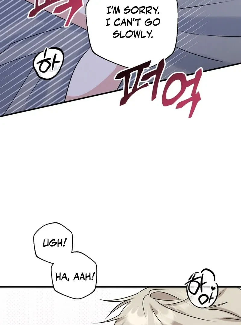 Chapter 3, page 108