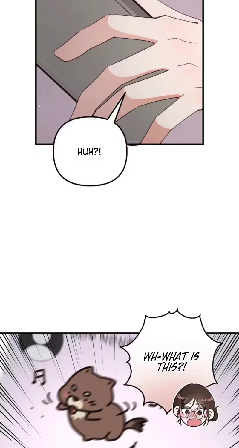 Chapter 3, page 72