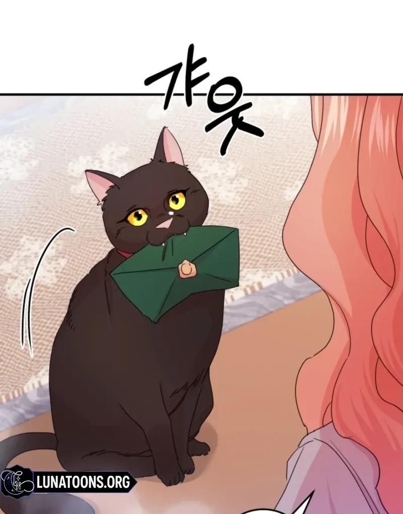 Chapter 7, page 69