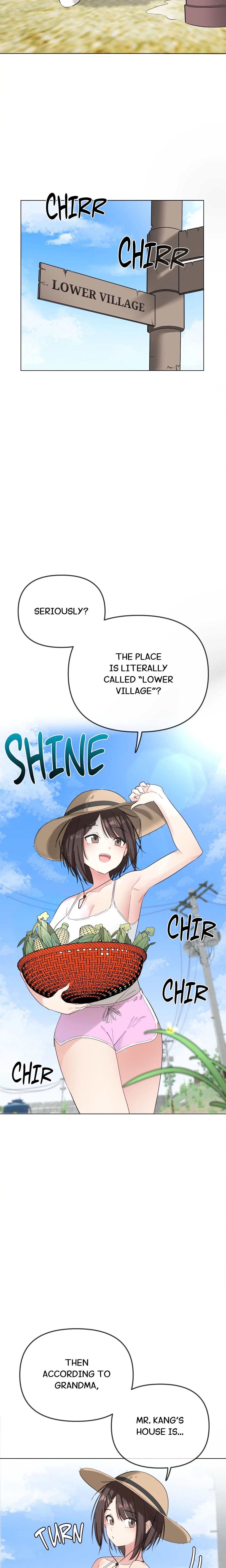 Chapter 1, page 13
