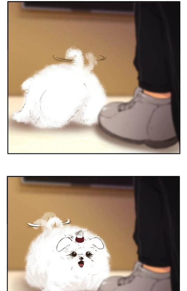 Chapter 49, page 61