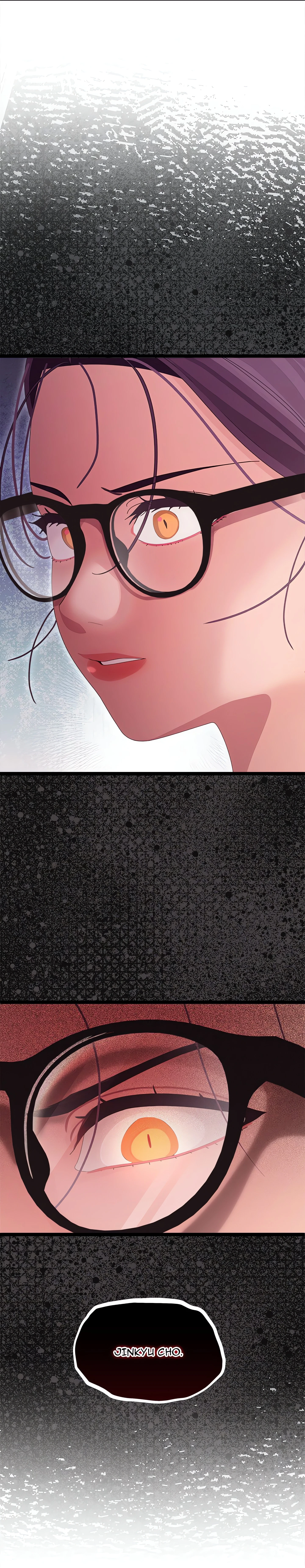 Chapter 3, page 107