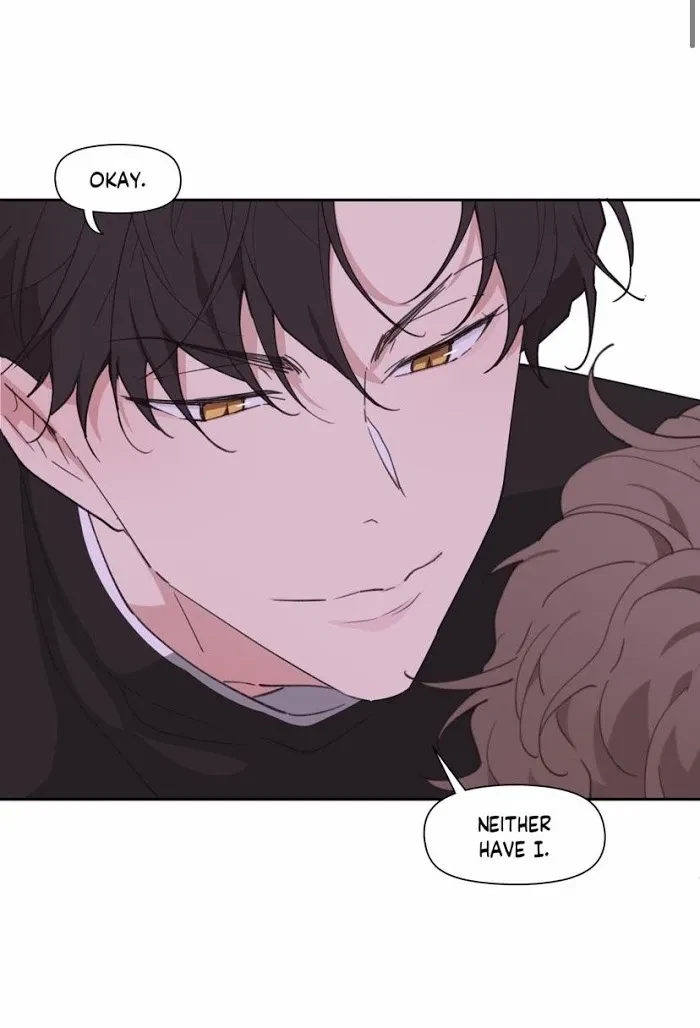 Chapter 4.1, page 10