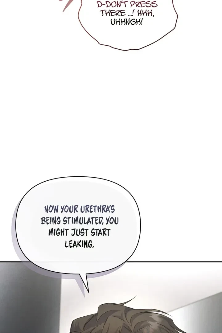 Chapter 3, page 67