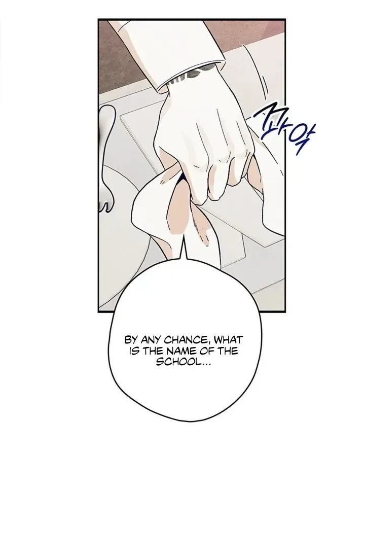 Chapter 4, page 29
