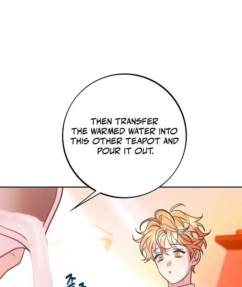 Chapter 4, page 19