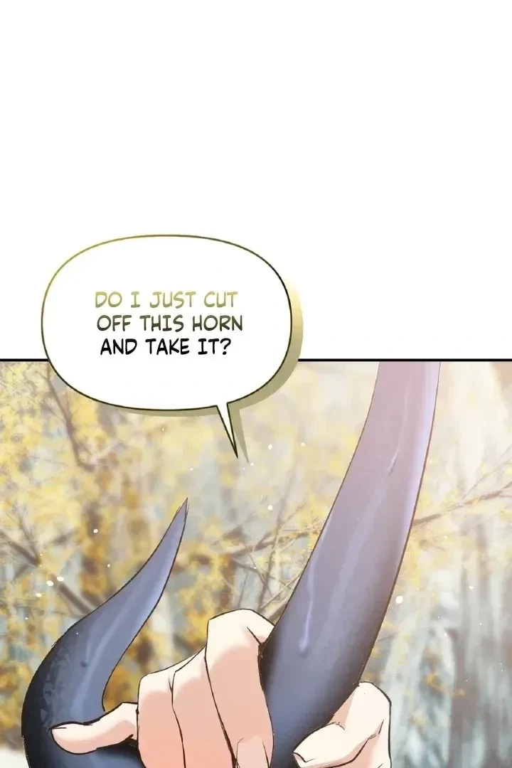 Chapter 1.1, page 49