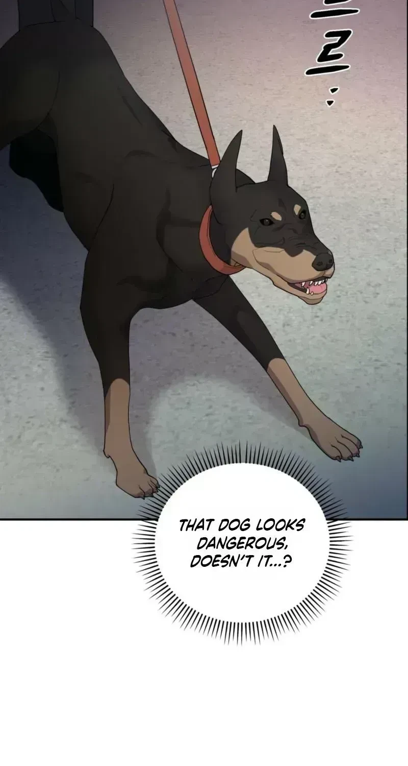 Chapter 1.6, page 80
