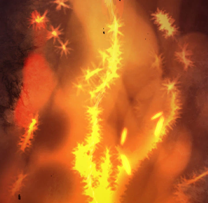Chapter 1, page 301