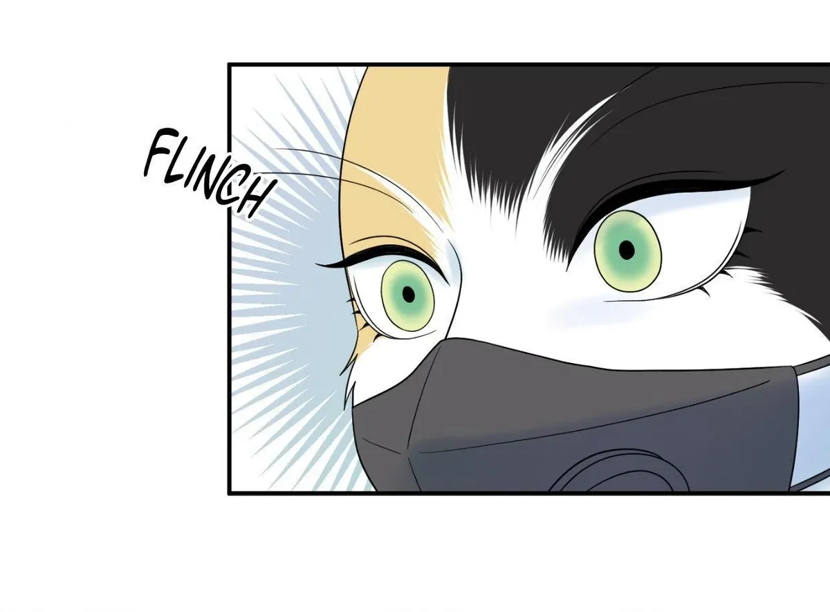 Chapter 63, page 17