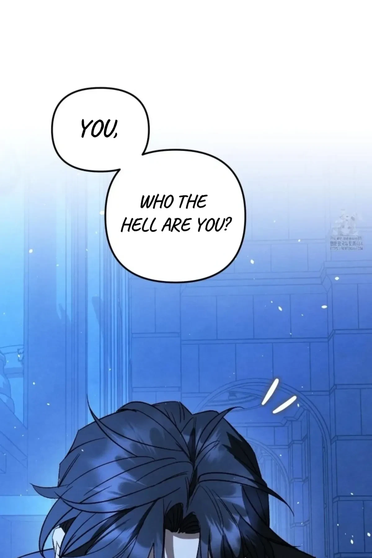 Chapter 2, page 50
