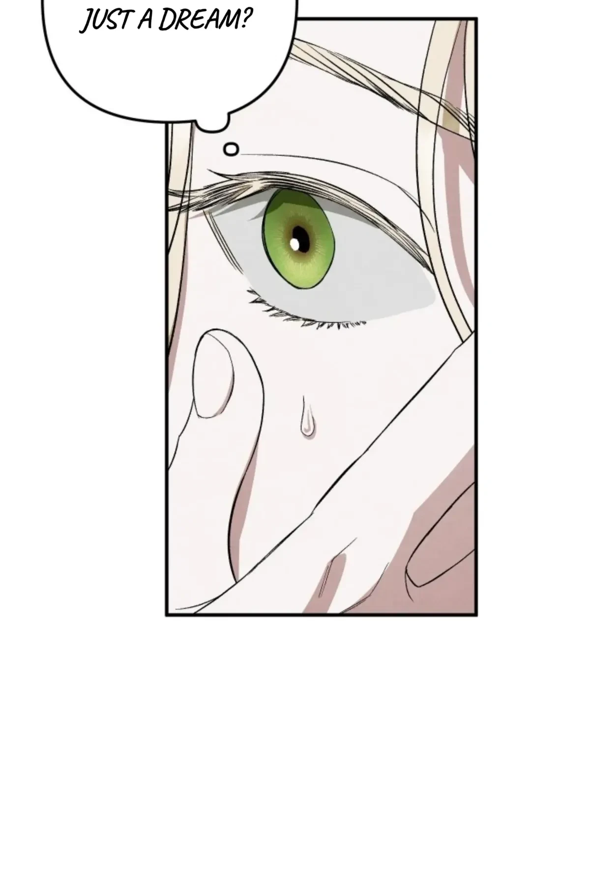 Chapter 2, page 79
