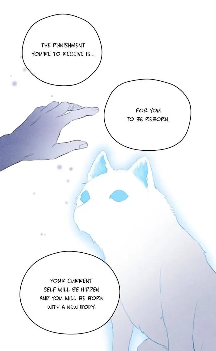 Chapter 133, page 53