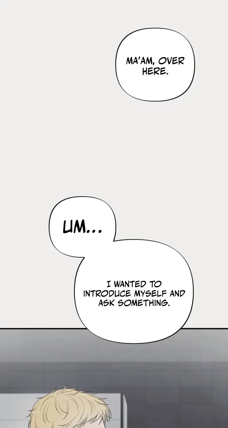 Chapter 3, page 52