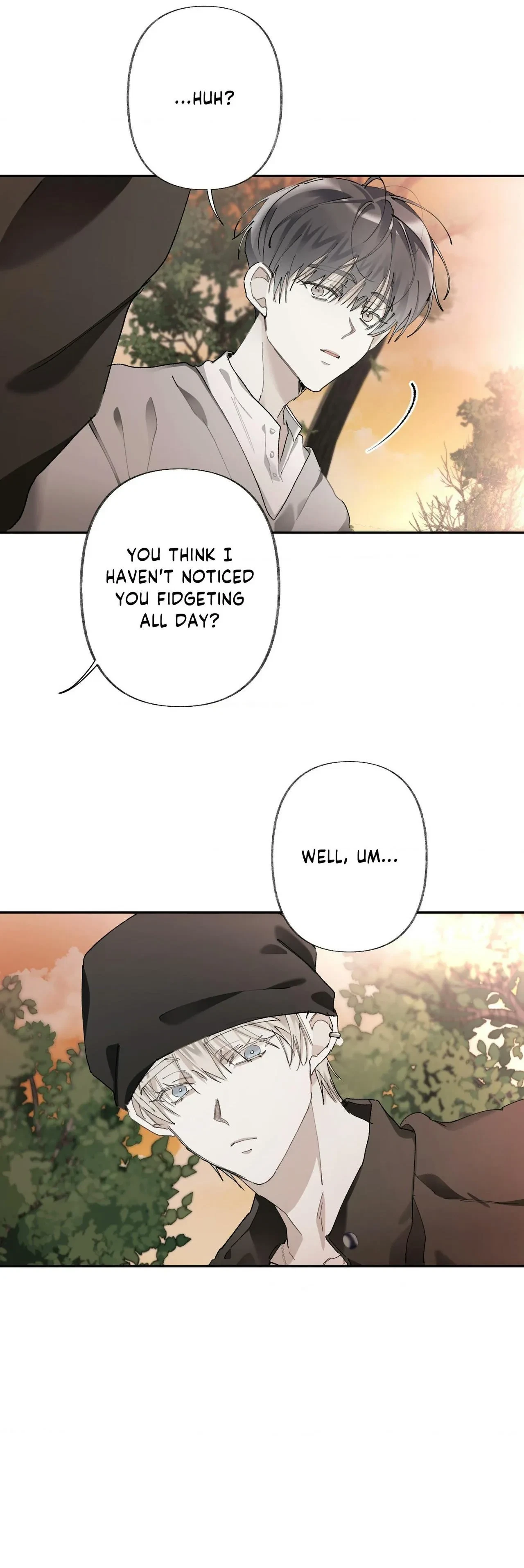 Chapter 4, page 29