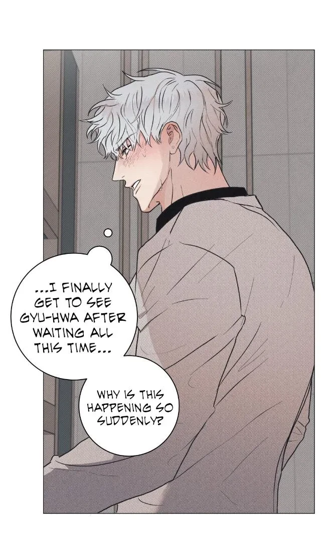 Chapter 2, page 19