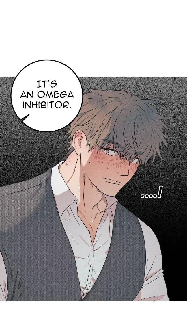 Chapter 2, page 21