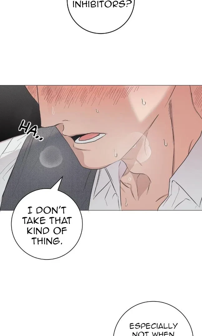 Chapter 2, page 26