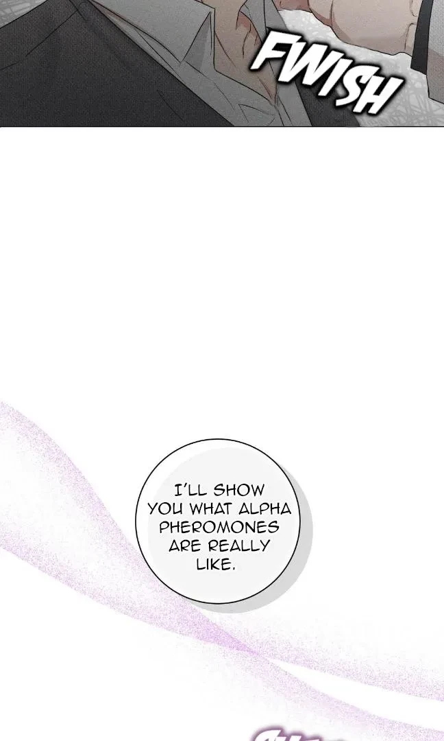 Chapter 2, page 46