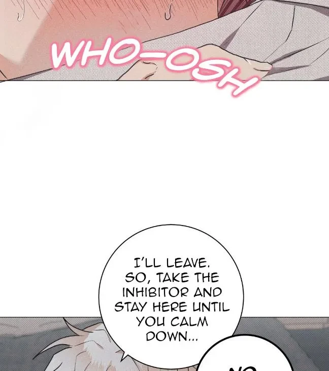 Chapter 2, page 52