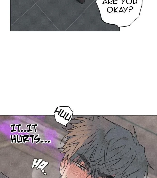 Chapter 2, page 8
