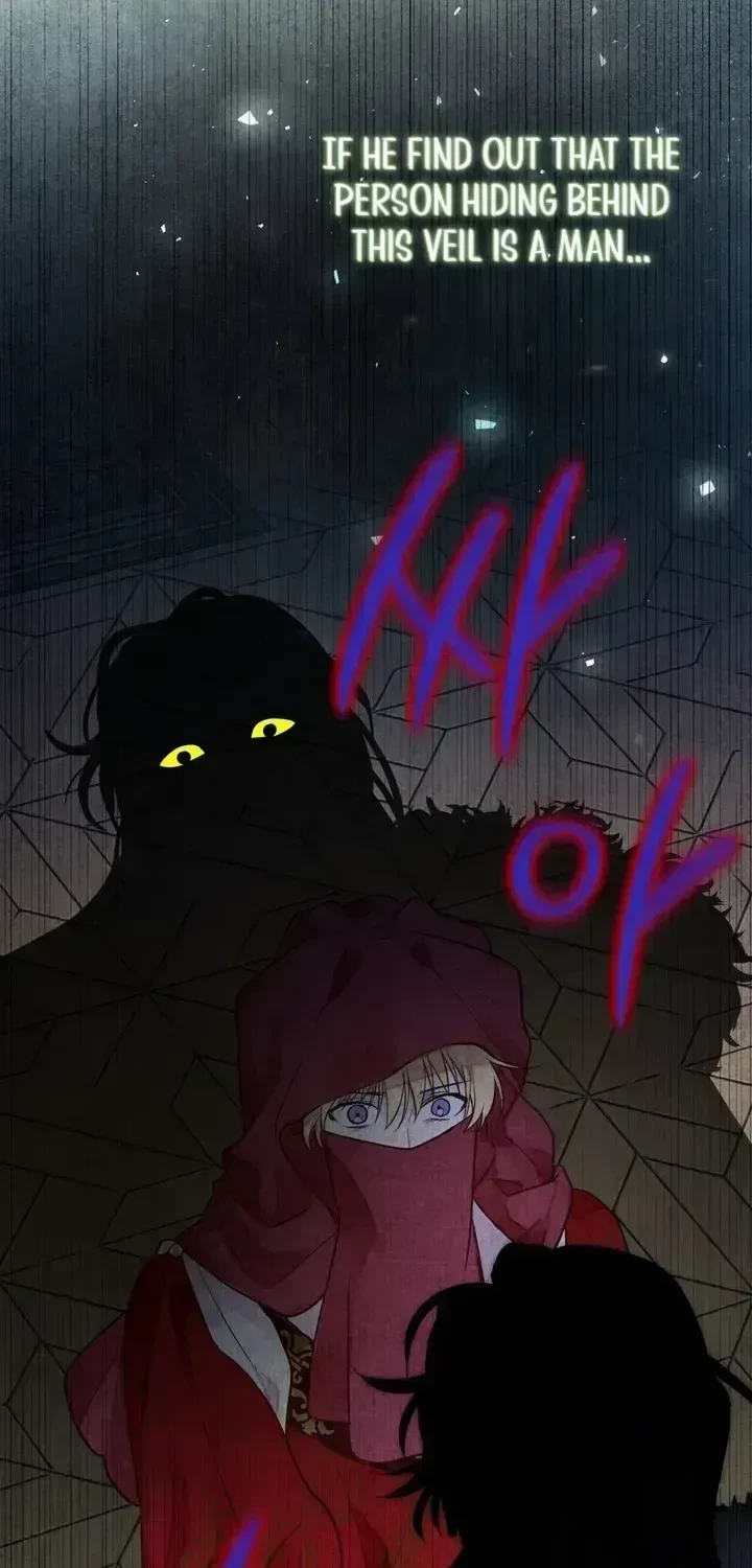 Chapter 2.3, page 37