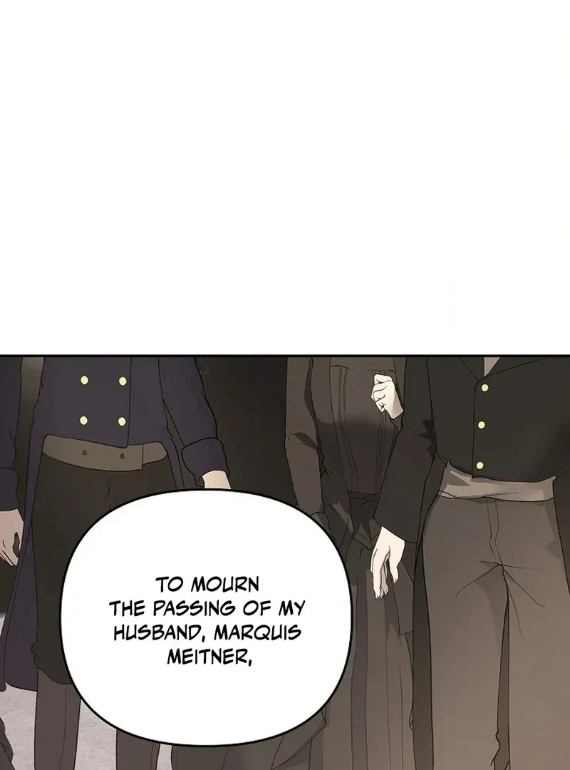 Chapter 1, page 41