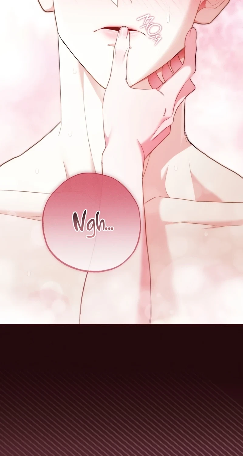 Chapter 3, page 19