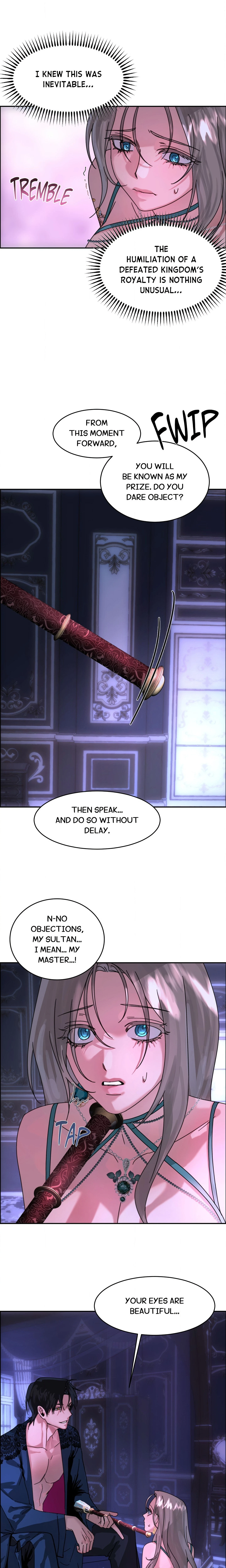 Chapter 2, page 8