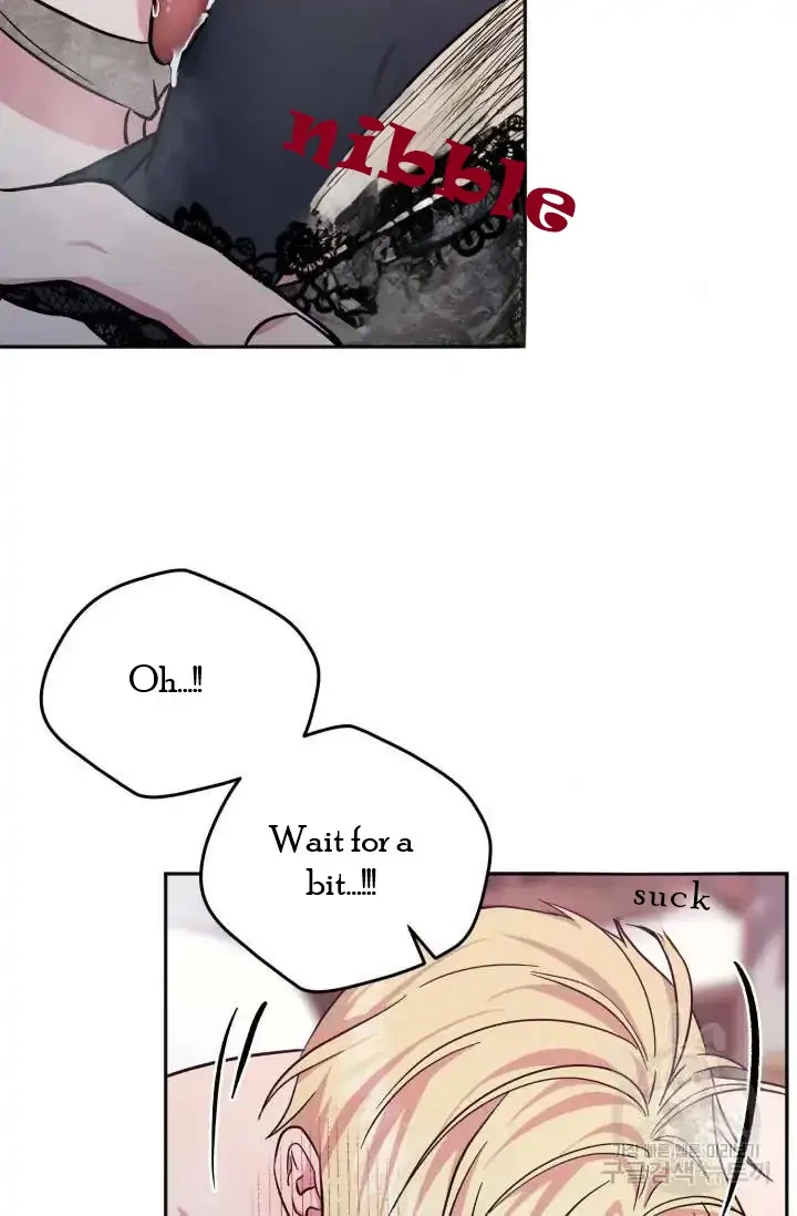 Chapter 6, page 62