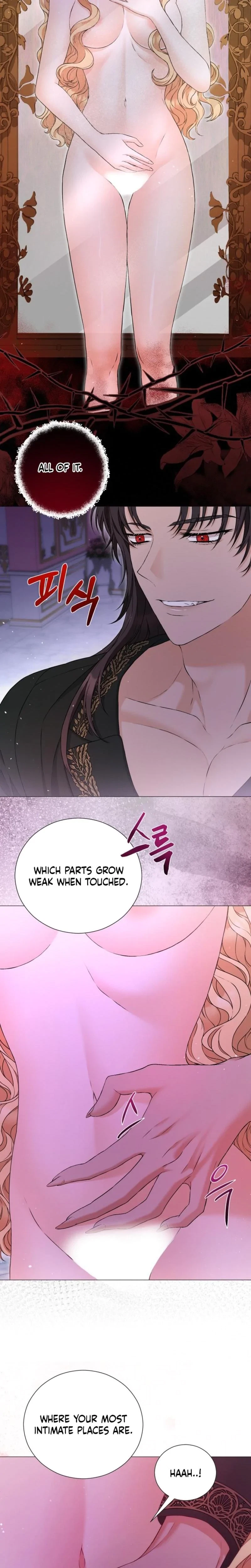 The Covert Of The Countess Chapter 17, page 12