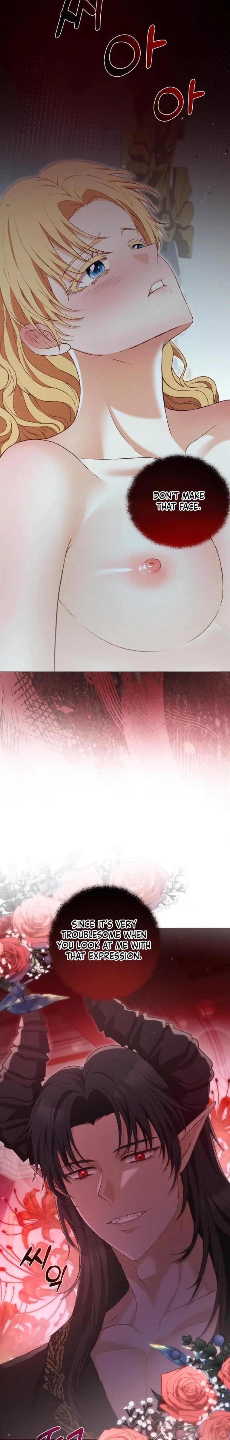 The Covert Of The Countess Chapter 17, page 17