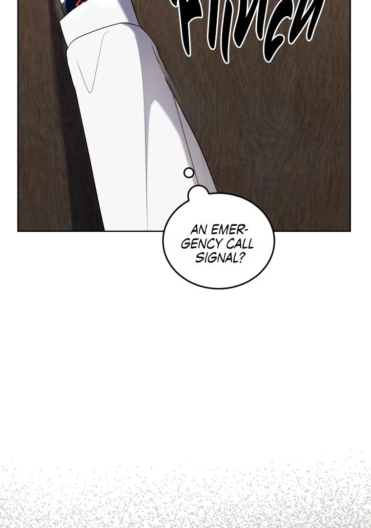 Chapter 8, page 110