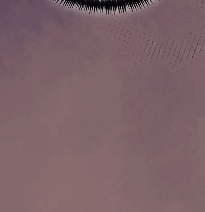 Chapter 5, page 102