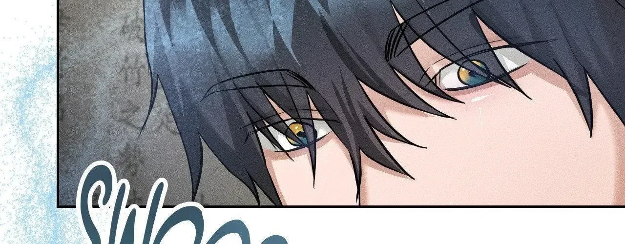 Chapter 8, page 101